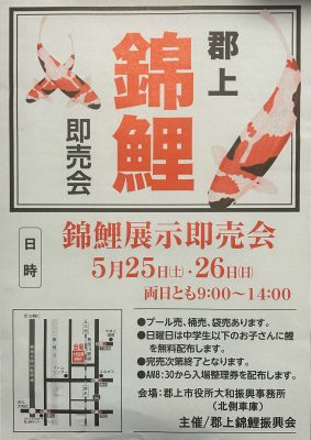 《終了》郡上錦鯉展示即売会